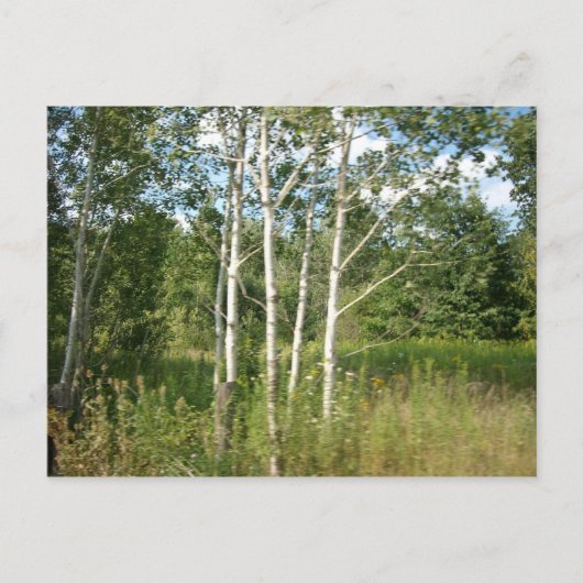 Briefkaart (Voorkant)