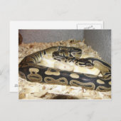 Briefkaart (Voorkant / Achterkant)