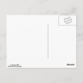 Briefkaart (Achterkant)