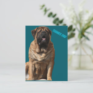 BRIEFKAART