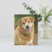  BRIEFKAART (Staand voorkant)