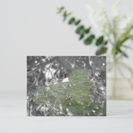 Briefkaart (Staand voorkant)