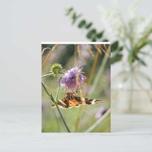 Briefkaart (Staand voorkant)