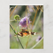 Briefkaart (Voorkant)