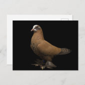 Briefkaart (Voorkant / Achterkant)