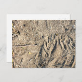 Briefkaart (Voorkant / Achterkant)