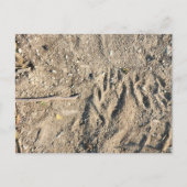 Briefkaart (Voorkant)