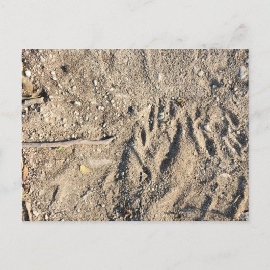 Briefkaart (Voorkant)