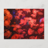 Briefkaart (Voorkant)