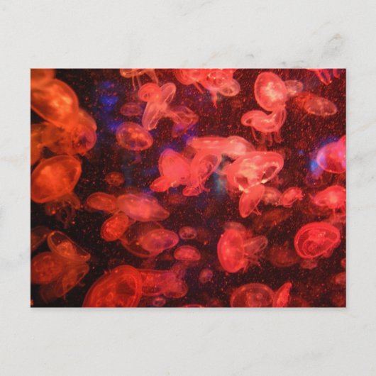 Briefkaart (Voorkant)