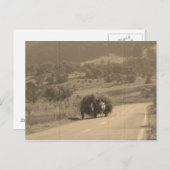 Briefkaart (Voorkant / Achterkant)