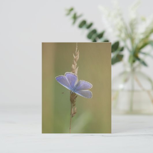 Briefkaart (Staand voorkant)