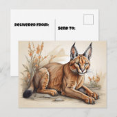 Briefkaart (Voorkant / Achterkant)