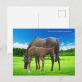 Briefkaart (Voorkant / Achterkant)