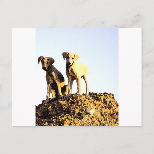 Briefkaart (Voorkant)