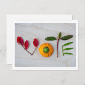 Briefkaart (Voorkant / Achterkant)