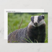 Briefkaart (Voorkant / Achterkant)