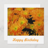 Briefkaart (Voorkant / Achterkant)