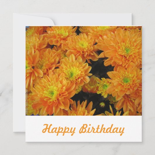 Briefkaart (Voorkant)