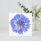 Briefkaart (Staand voorkant)