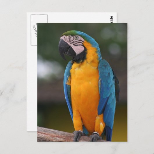 Briefkaart (Voorkant / Achterkant)