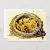  Briefkaart (Voorkant / Achterkant)