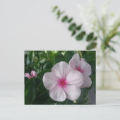 Briefkaart (Staand voorkant)