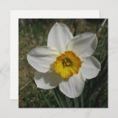 Briefkaart (Voorkant / Achterkant)