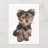 Briefkaart (Voorkant)