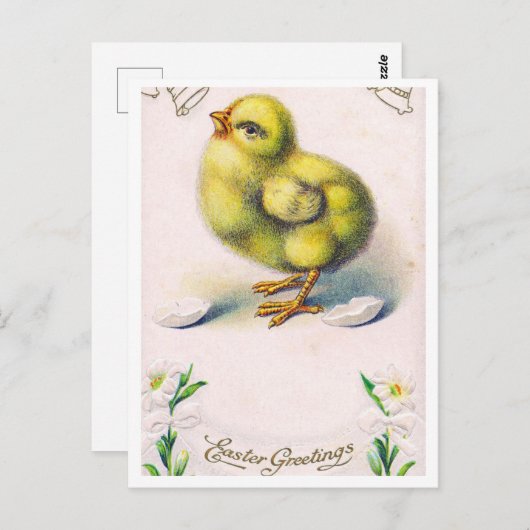 Briefkaart (Voorkant / Achterkant)