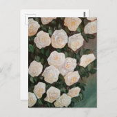 Briefkaart (Voorkant / Achterkant)