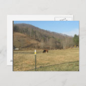 briefkaart (Voorkant / Achterkant)