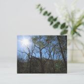 Briefkaart (Staand voorkant)