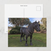 Briefkaart (Voorkant / Achterkant)