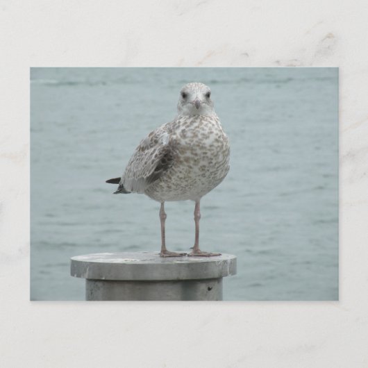 Briefkaart (Voorkant)