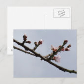Briefkaart (Voorkant / Achterkant)