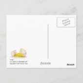 briefkaart (Achterkant)