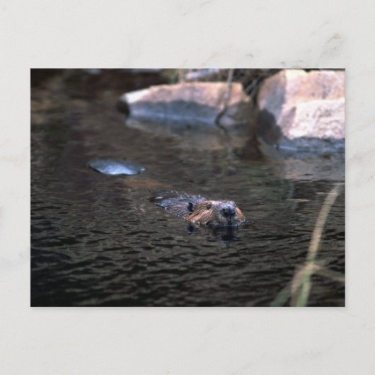 Briefkaart (Voorkant)