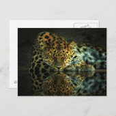 Briefkaart (Voorkant / Achterkant)