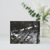 Briefkaart (Staand voorkant)