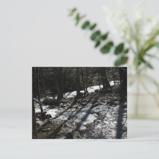 Briefkaart (Staand voorkant)