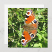 Briefkaart (Voorkant / Achterkant)