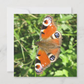 Briefkaart (Voorkant)