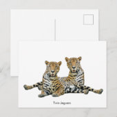 Briefkaart (Voorkant / Achterkant)