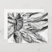 Briefkaart (Voorkant / Achterkant)