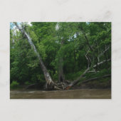 Briefkaart (Voorkant)