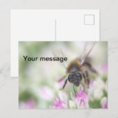 Briefkaart (Voorkant / Achterkant)