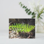 Briefkaart (Staand voorkant)