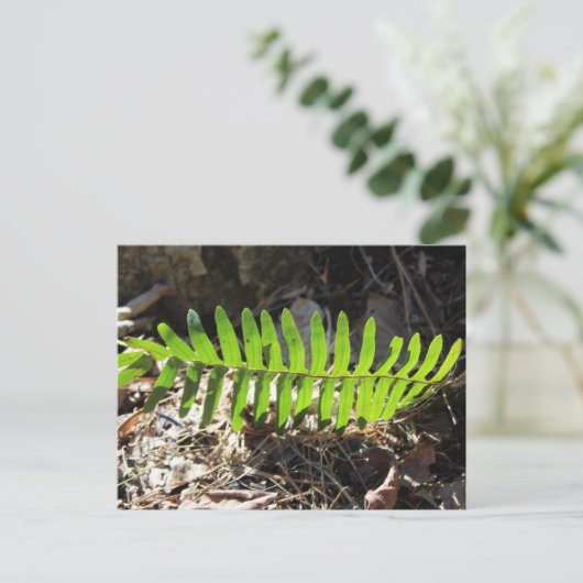 Briefkaart (Staand voorkant)