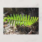 Briefkaart (Voorkant)